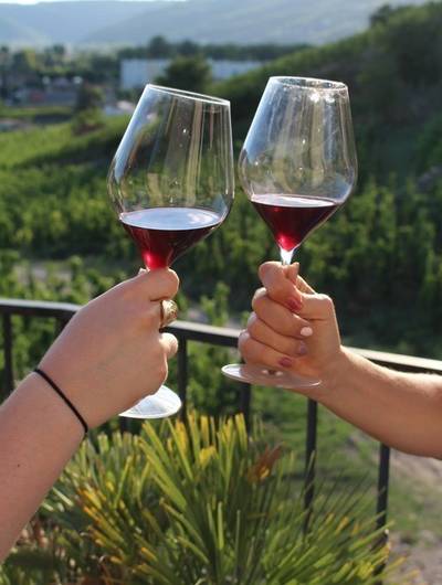 img-apero-vignes-au-domaine-goudard