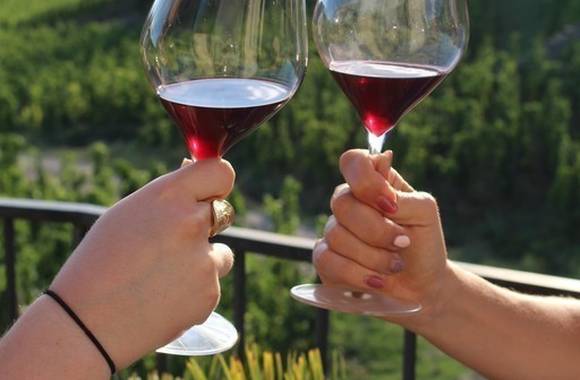 img-vineyard-aperitif-at-domaine-goudard