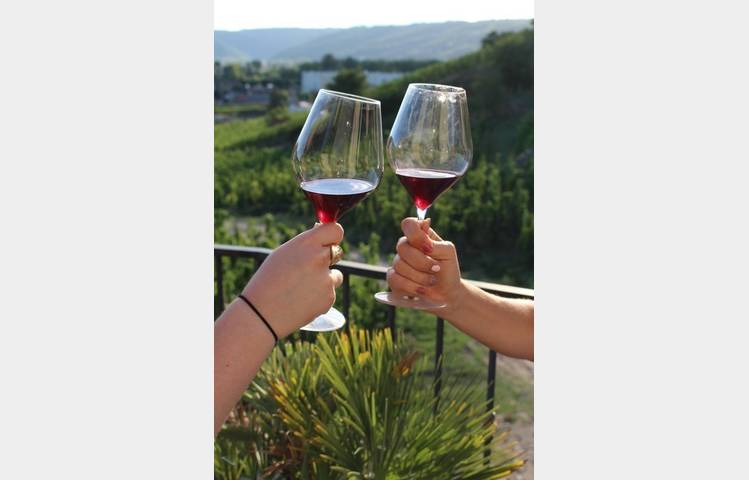 image de Vineyard aperitif at Domaine Goudard