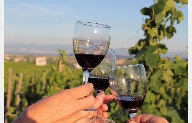 image de Vineyard aperitifs at Domaine Vendome