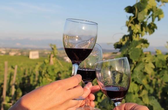 img-vineyard-aperitif-at-domaine-des-granges