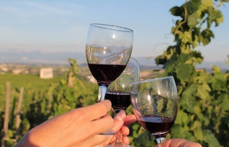 Photo of Vineyard aperitif at the Cave de Tain
