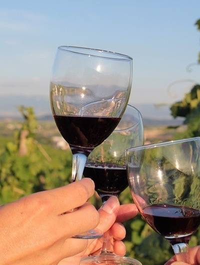 img-apero-vignes-au-domaine-laurent-fayolle