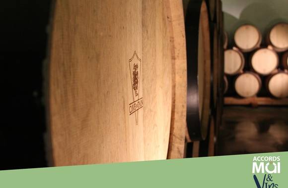 Visite guidée de la Cave de Tain et dégustation