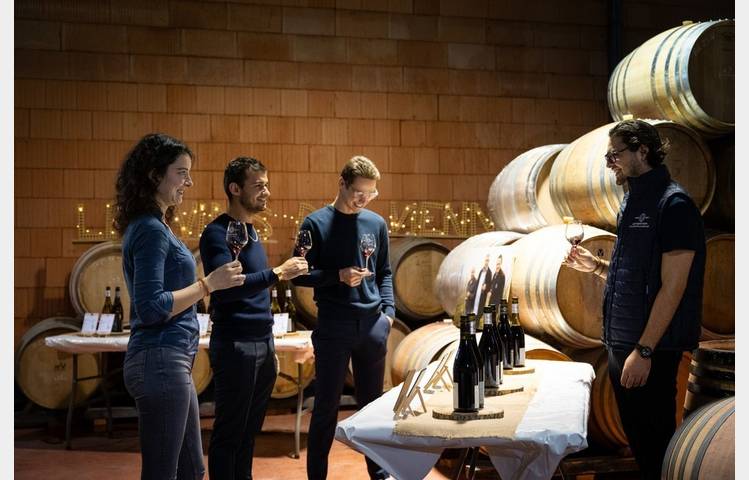 image de Culture et Vin au Domaine Clusel-Roch