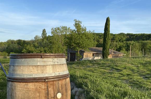 Culture et Vin au Domaine Clusel-Roch