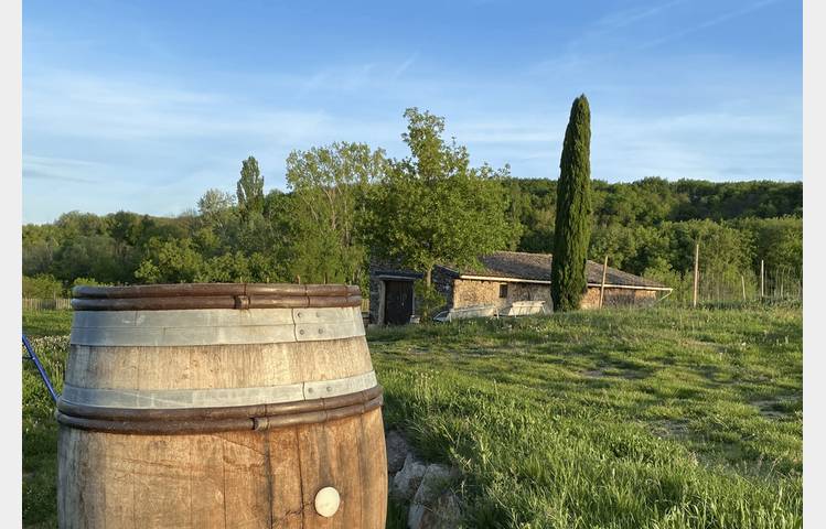 image de Culture et Vin au Domaine Clusel-Roch