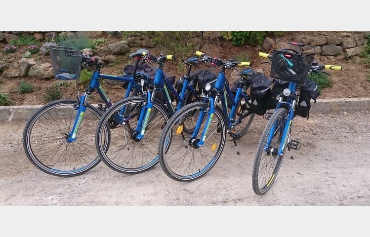 image de Bike rental Condrieu ViaRhôna