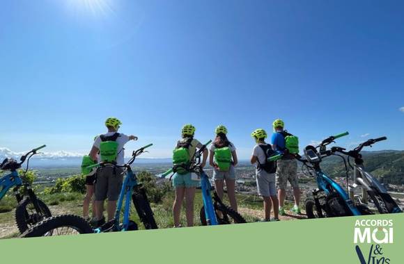 Balade en trott électrique tout terrain dans les vignobles - Terre de Syrah