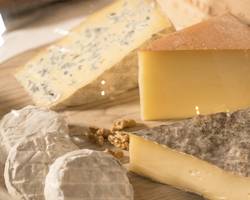 wine and cheese