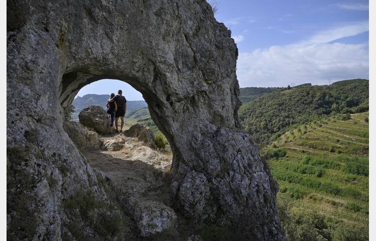 image de Rando Wine au Domaine du Coulet - Matthieu Barret