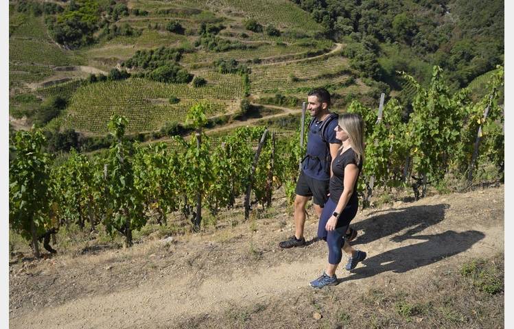 image de Rando Wine au Domaine du Coulet - Matthieu Barret