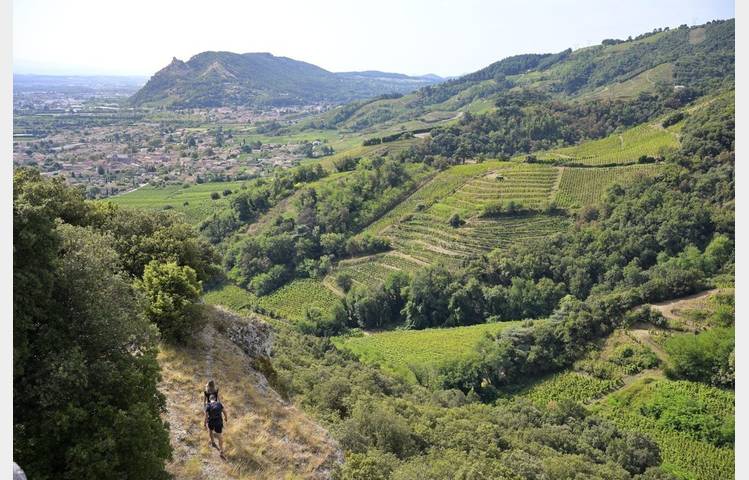 image de Rando Wine au Domaine du Coulet - Matthieu Barret