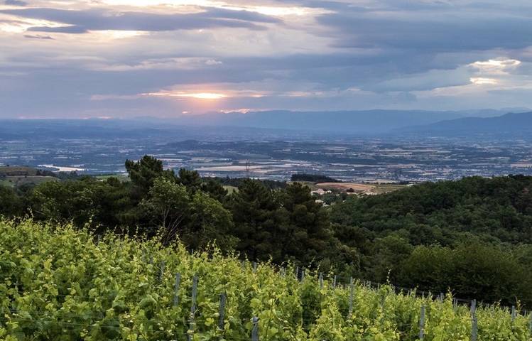 Photo of Domaine de Lorient
