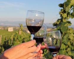 Apéro-vignes au domaine de Gouye