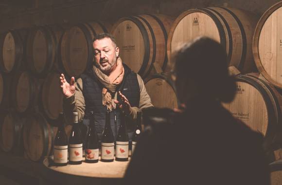 WineManShow in English au Moderne