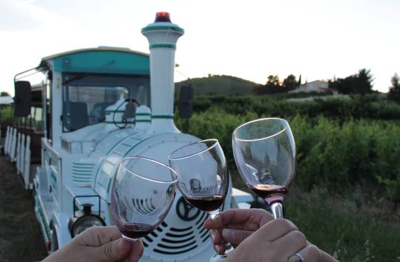 Soirée Les Vins de Viennes et Petit train des vignes à la Cages aux fleurs