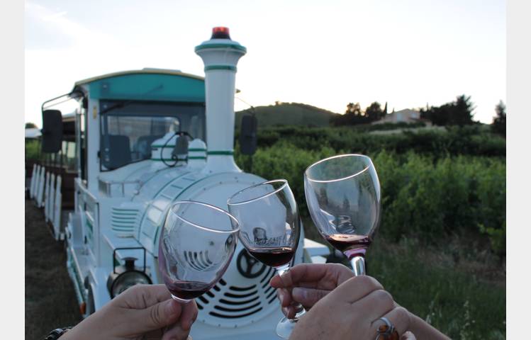 image de Soirée Les Vins de Viennes et Petit train des vignes à la Cages aux fleurs