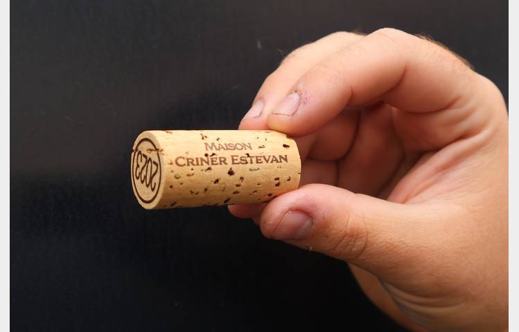 image de Maison Criner Estevan
