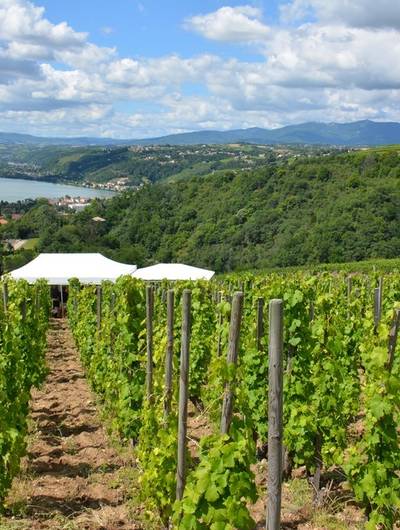 img-escapade-vigneronne-au-domaine-niero
