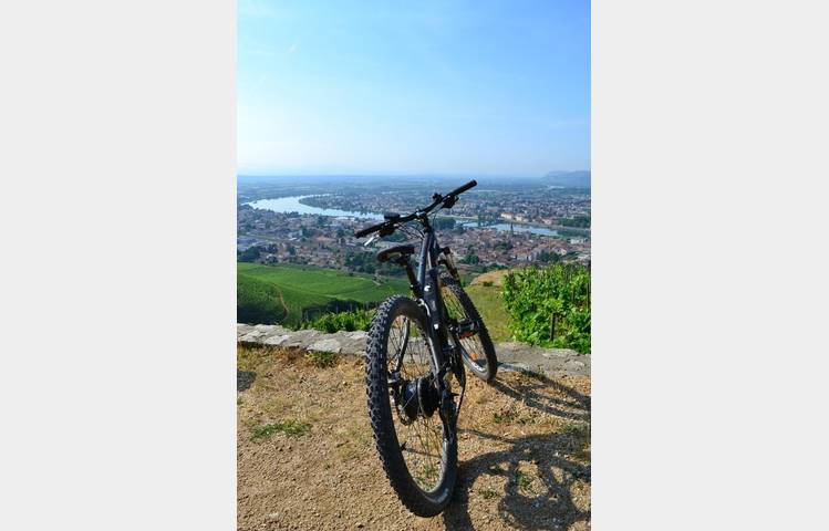 image de Explore the vineyards by e-bike - Maison M. CHAPOUTIER