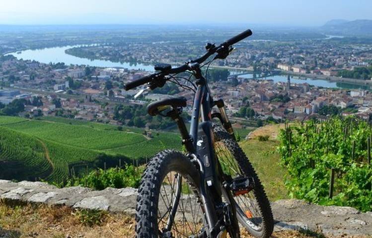 Photo of Explore the vineyards by e-bike - Maison M. CHAPOUTIER