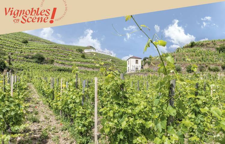 Photo of Explore the vineyards by e-bike - Maison M. CHAPOUTIER