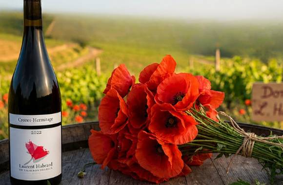 Balade au cœur du domaine Laurent Habrard pour découvrir le coquelicot, emblème du domaine.