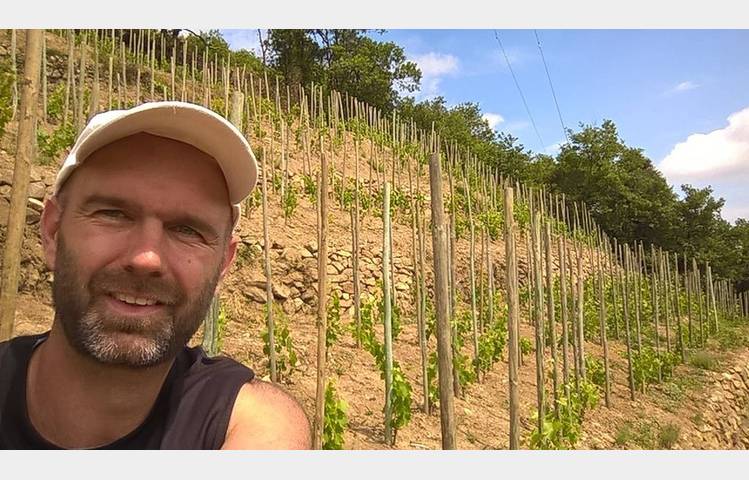 image de Les vins de Saint Vallier - Domaine Loïc Peychon