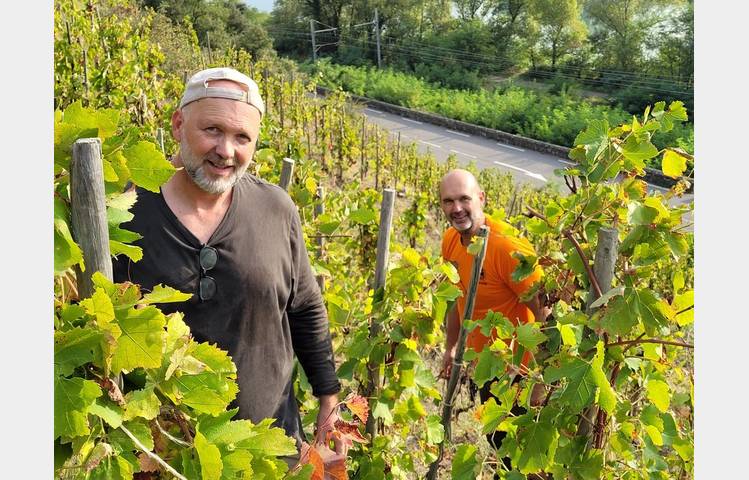 image de Les vins de Saint Vallier - Domaine Loïc Peychon