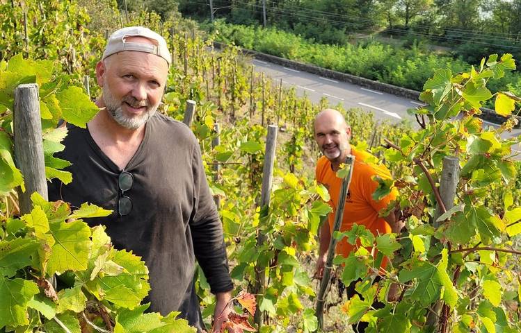 Photo of Les vins de Saint Vallier - Domaine Loïc Peychon