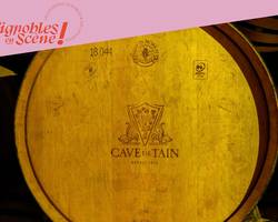 (Dés)accords autour du fromage - Terres de Syrah