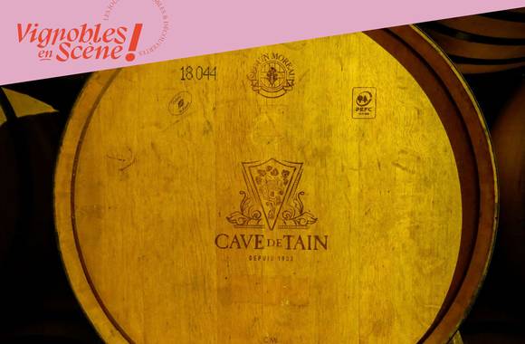 (Dés)accords autour du fromage - Terres de Syrah