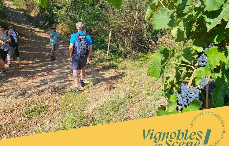 Photo of Wine walk at Domaine Grenier