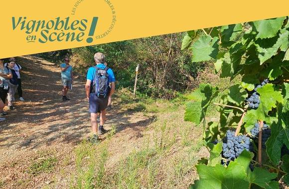 Rando wine au Domaine Grenier