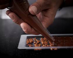 Workshop gourmet chocolate bars in English - cité du chocolat Valrhona