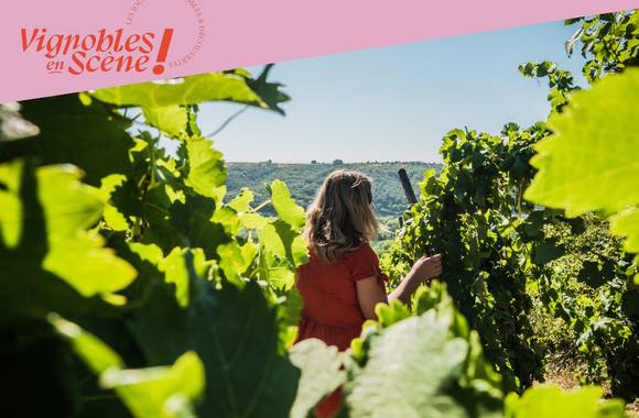 Randonnée entre Côte-Rôtie et Condrieu