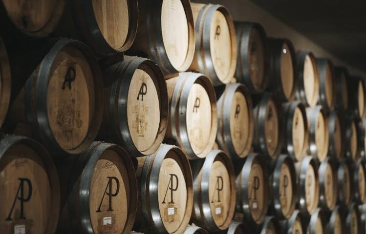Photo of Portes ouvertes au Domaine Anthony Paret