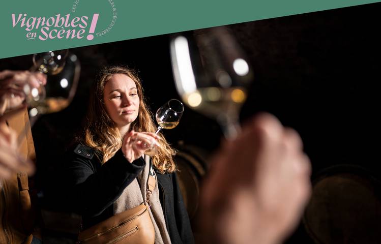 Photo of Culture et Vins au Domaine Anthony Paret