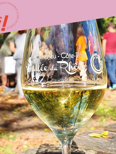 img-apero-vignes-au-domaine-anthony-paret