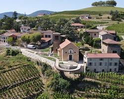 Visite guidée dans le vignoble : Le Rhône et la vigne, une histoire partagée