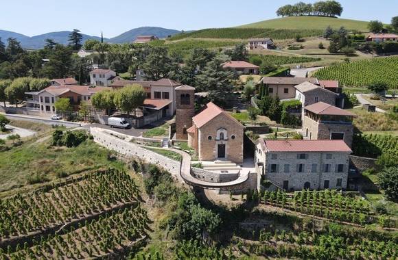 Visite guidée dans le vignoble : Le Rhône et la vigne, une histoire partagée