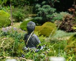 Atelier croquis nature