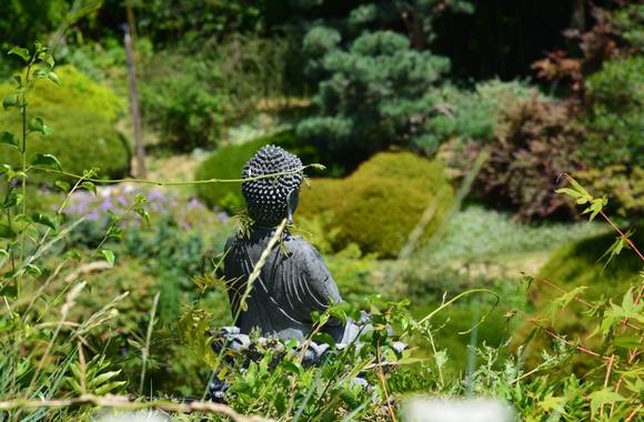 Atelier croquis nature