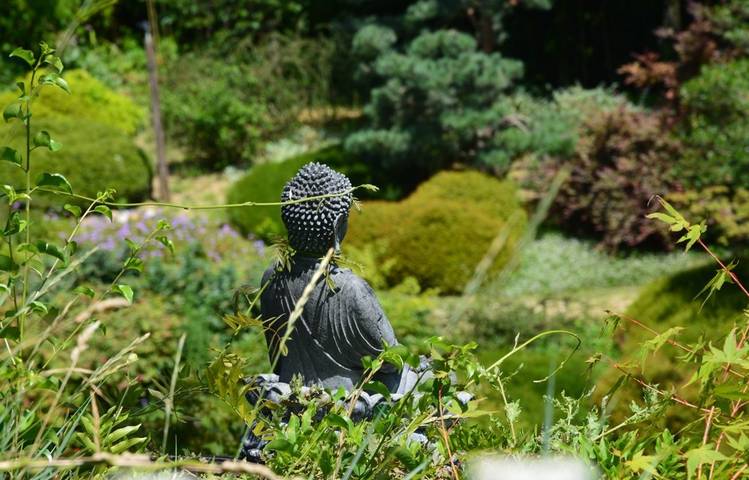 Photo of Atelier croquis nature