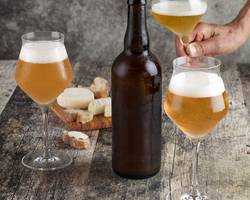 Atelier Découverte - Vin & Bière - M.CHAPOUTIER
