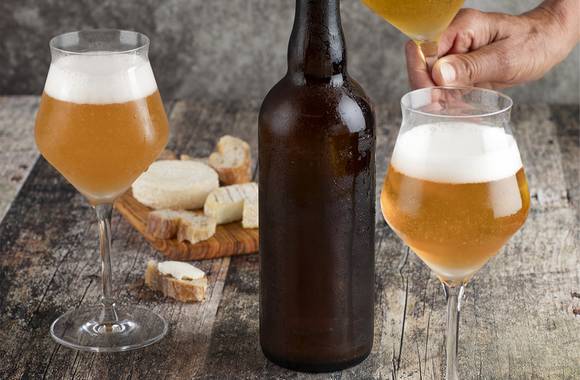 Atelier Découverte - Vin & Bière - M.CHAPOUTIER