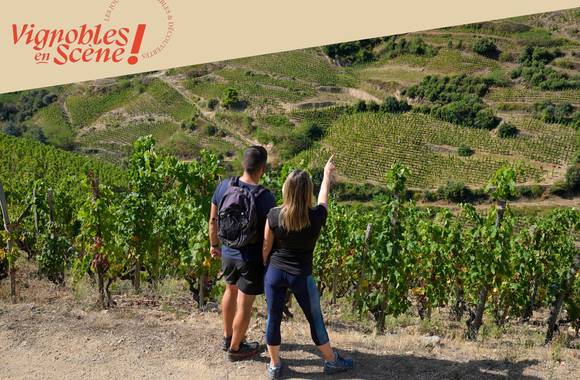 Balade commentée sur les transformations contemporaines du vignoble de Cornas