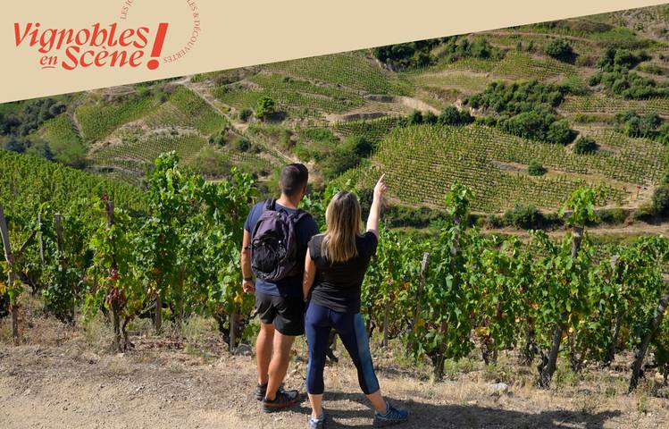 Photo of Balade commentée sur les transformations contemporaines du vignoble de Cornas