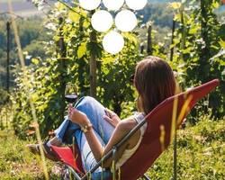 Séjour spécial "Vignobles en Scène"
